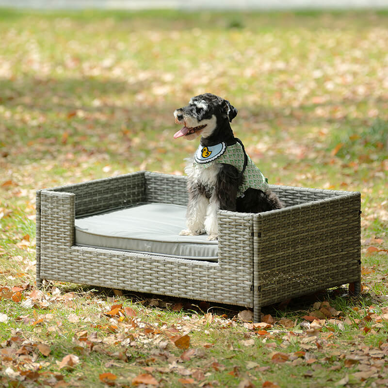 35" Dark Gray PE Wicker Dog Bed With Cushion - in Heightened Base